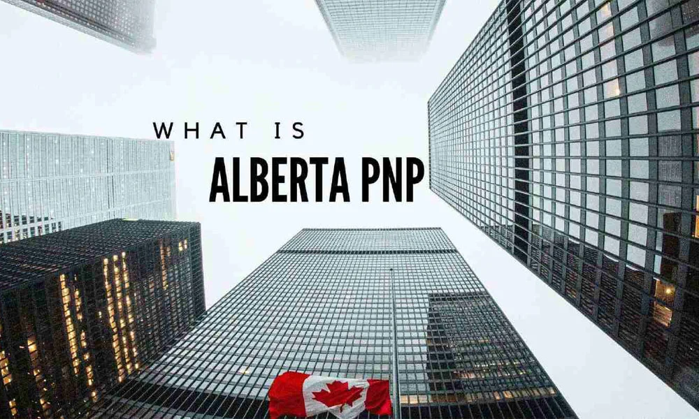 what is alberta PNP
