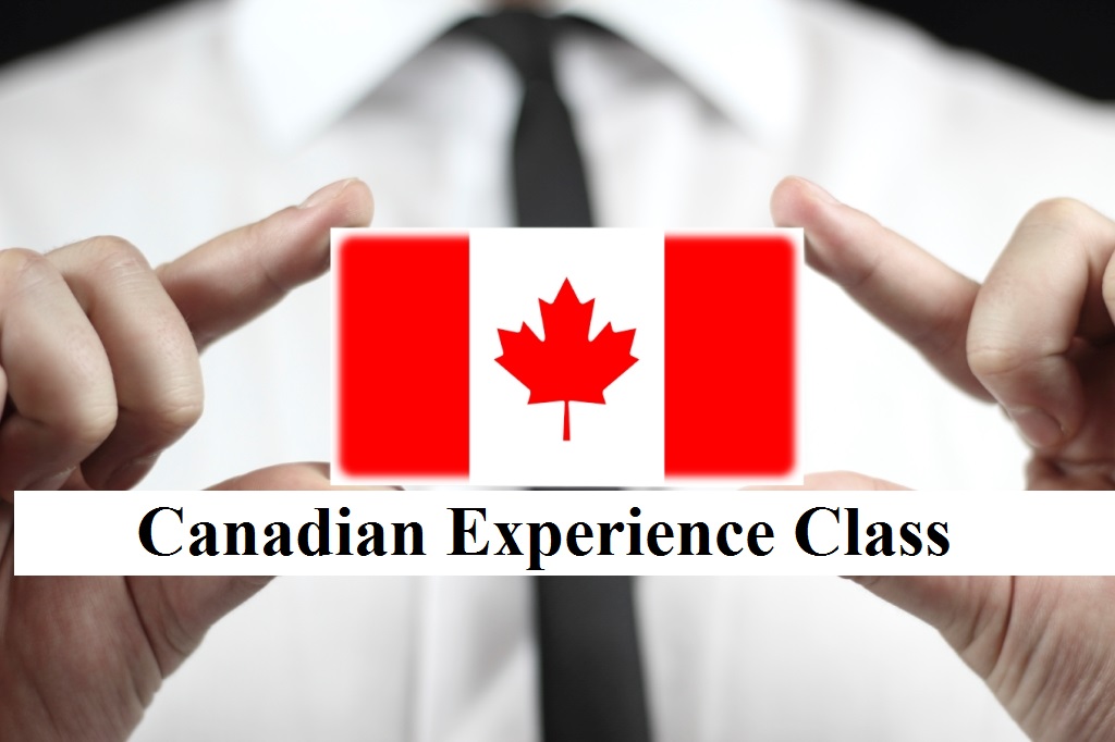 All You Need to Know about The Canadian Experience Class